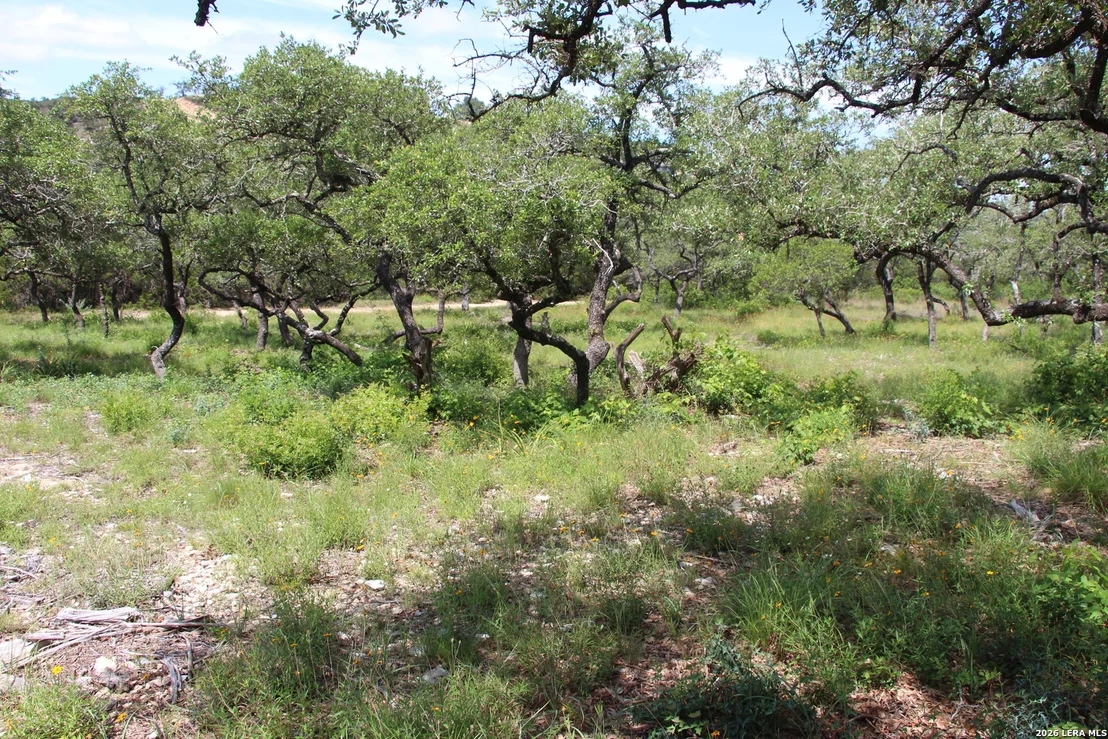 Photo of LOT 52 Clear Water Cyn