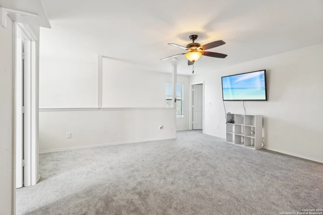 Photo of 155 PRATO PALMA