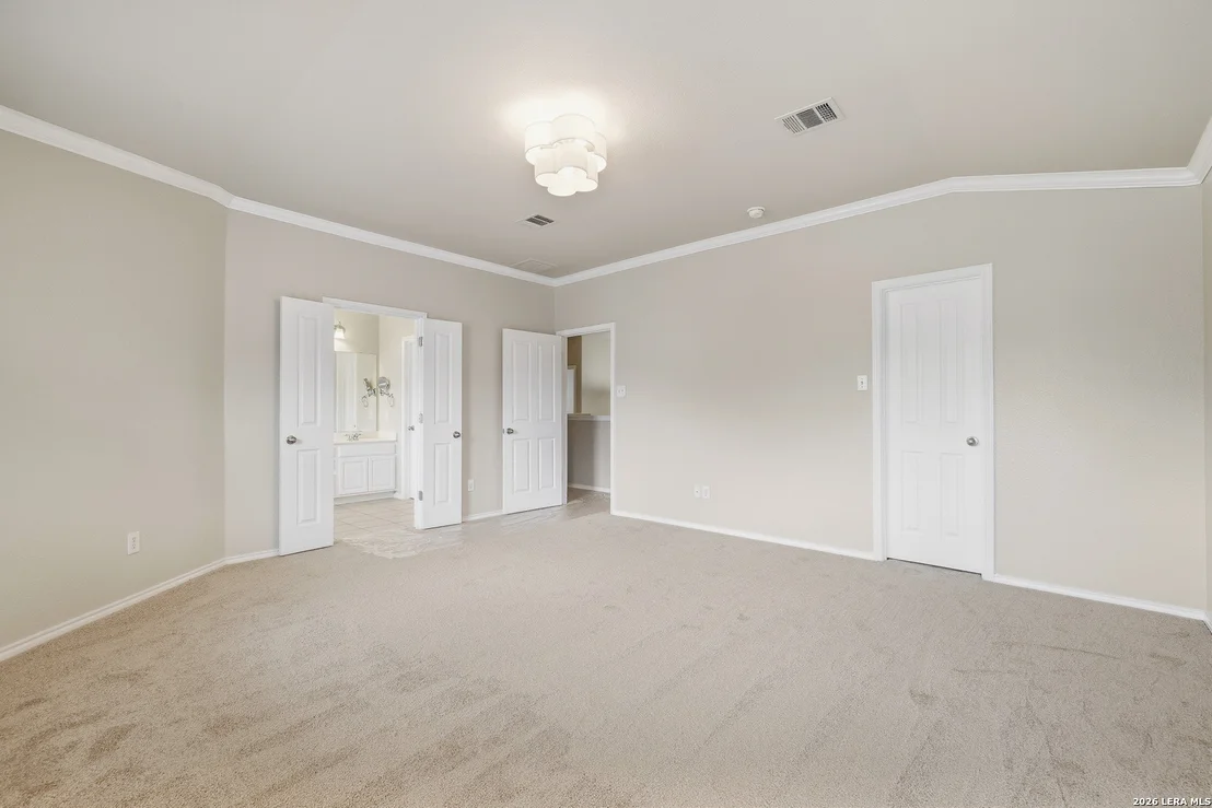 Photo of 25602 Sophora
