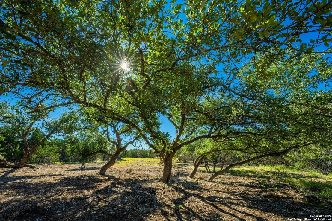 Photo of LOT 5 Gillespie Ridge