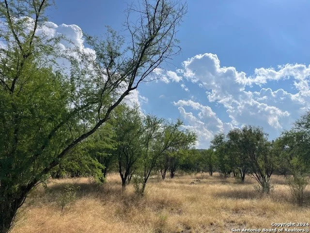 Photo of LOT 94 Pr 2320