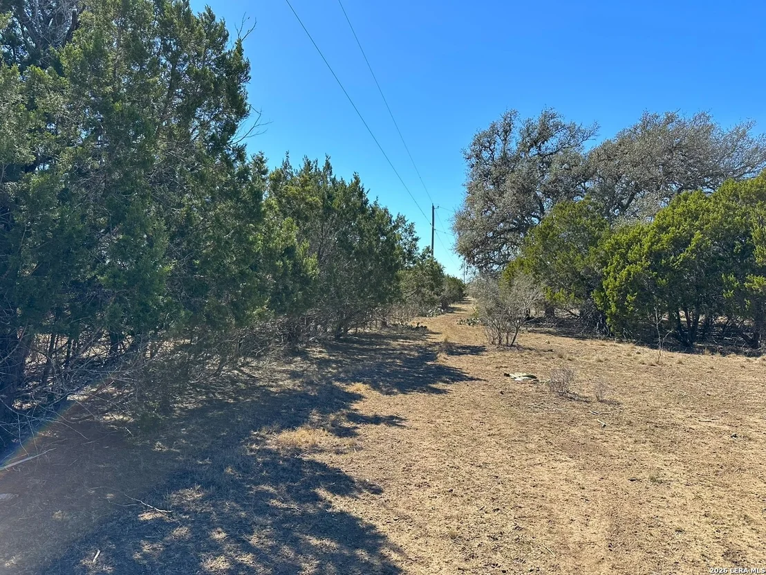 Photo of 316 SD 37980