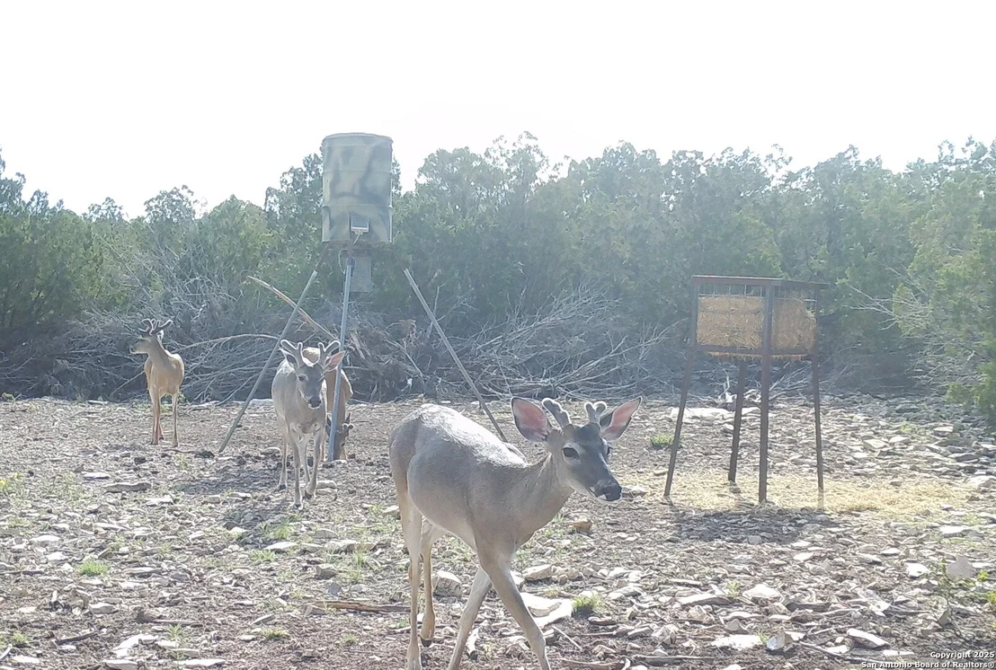 Photo of 1024 Sd 63005