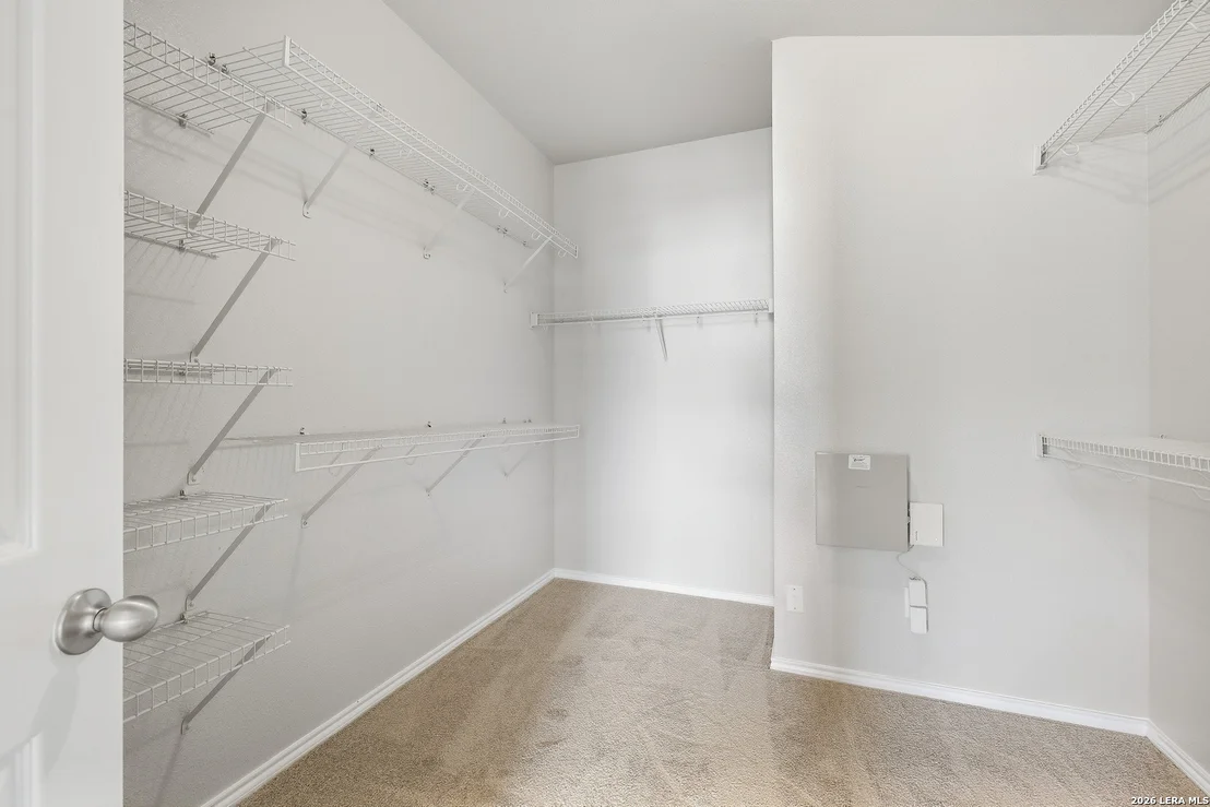 Photo of 25602 Sophora