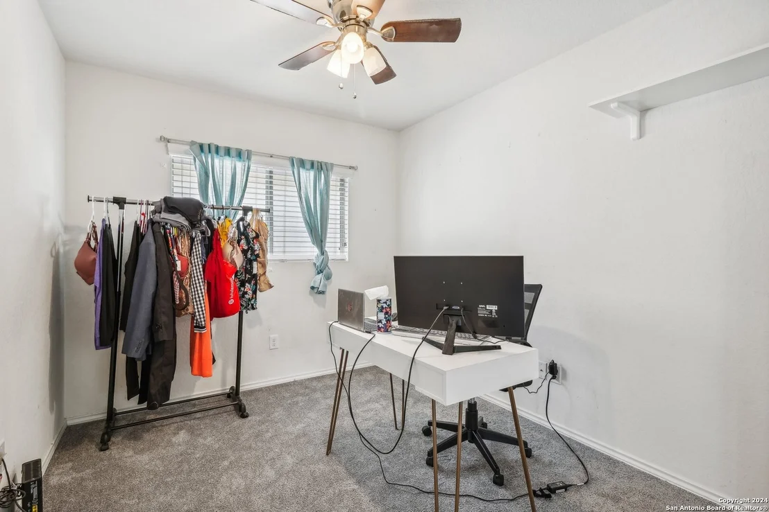 Photo of 155 PRATO PALMA