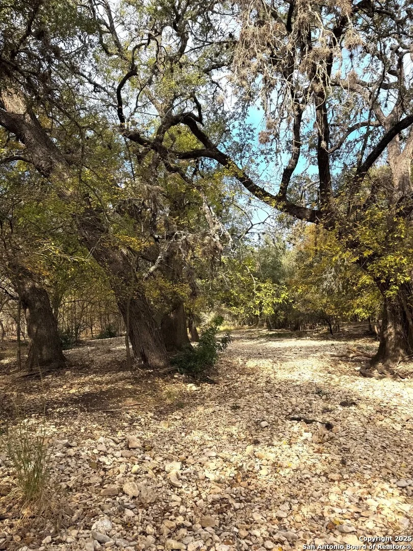 Photo of 7611 Wood Bluff