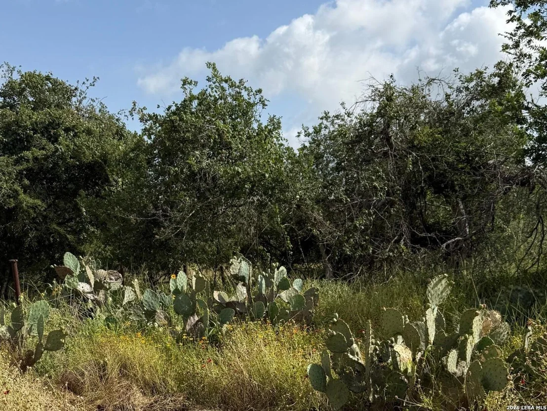 Photo of 585 County Road 768