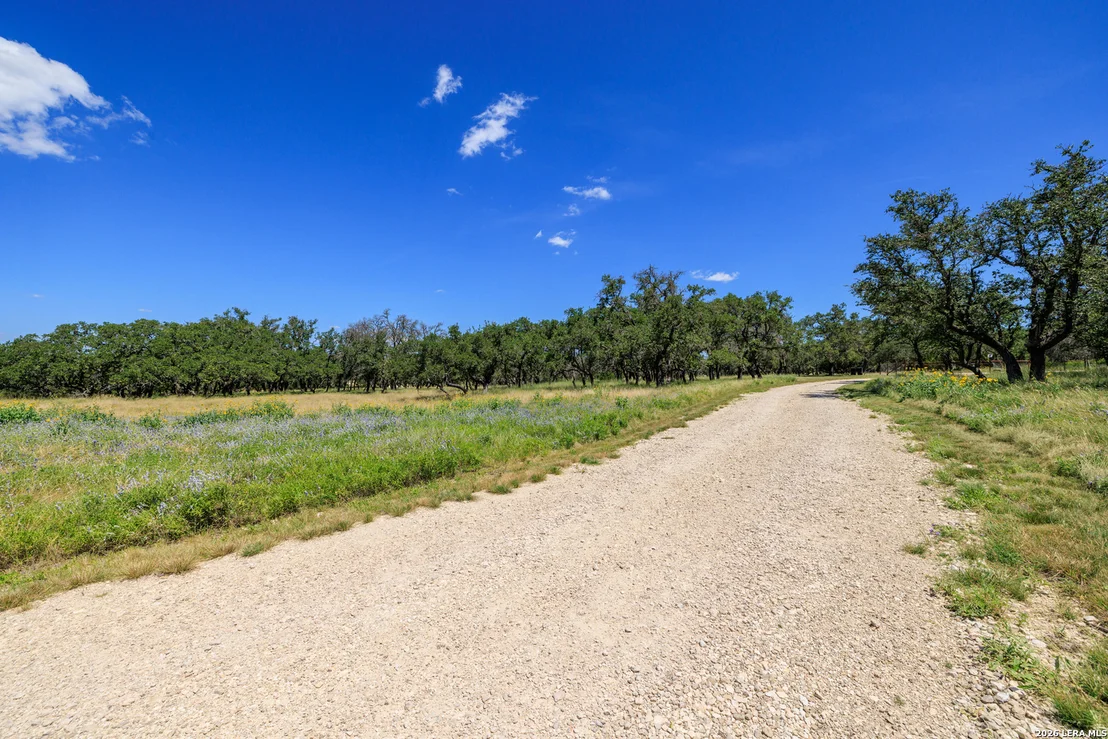 Photo of 429 Spanish Oak