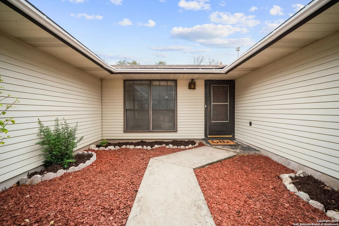 Photo of 1606 forest spring
