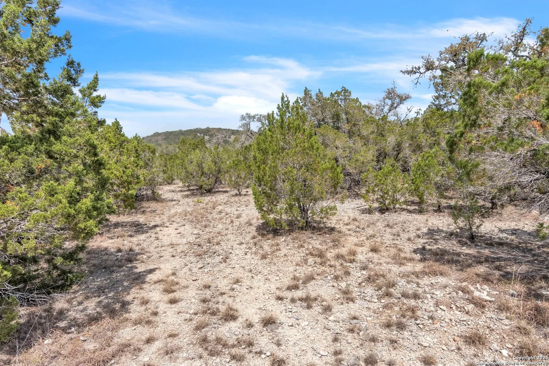 Photo of 000 Frio Canyon Loop