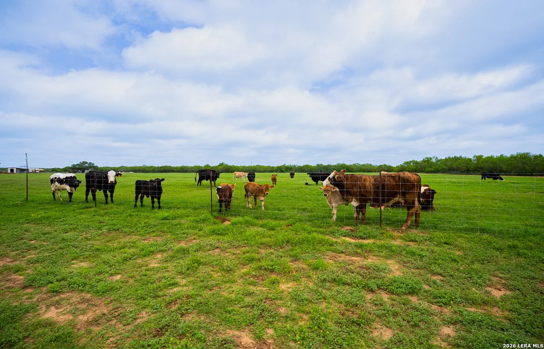 Photo of 366 COUNTY ROAD 2543