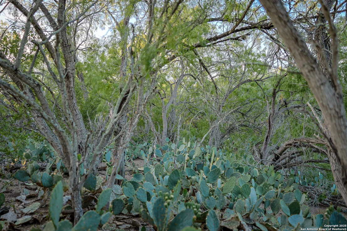 Photo of 6266 Highway 281