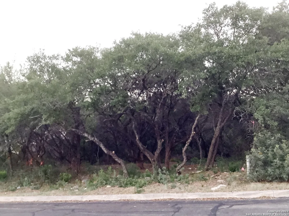 Photo of 16811 Fox Ridge