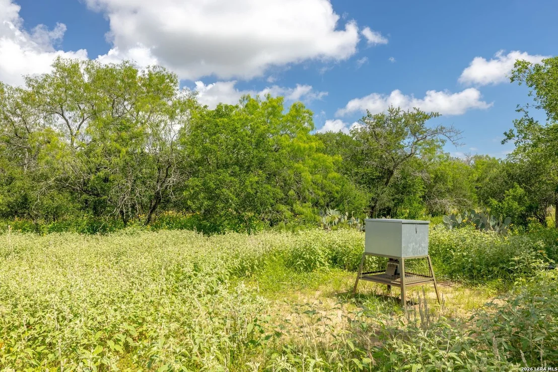 Photo of 237 County Road 393