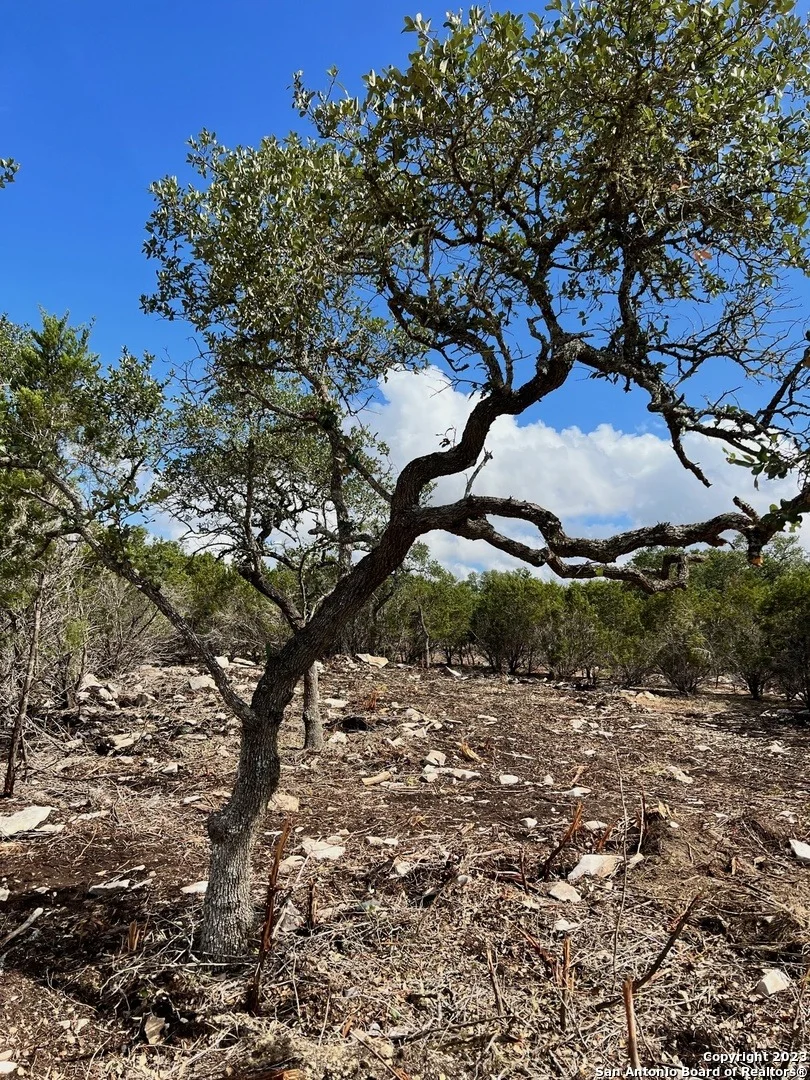 Photo of 5 RANCH PT