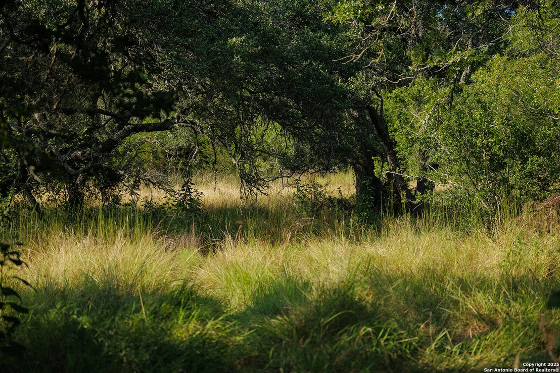 Photo of 3067 Ranch Road 1888