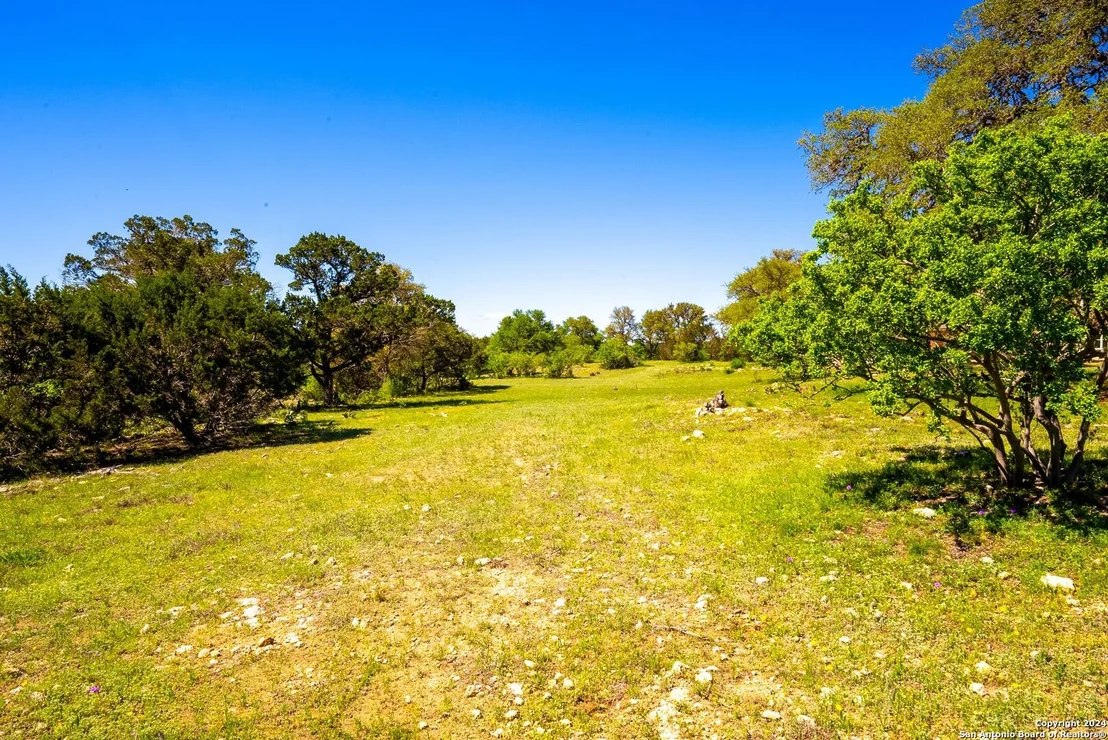 Photo of 98 SABINAS RIDGE RD