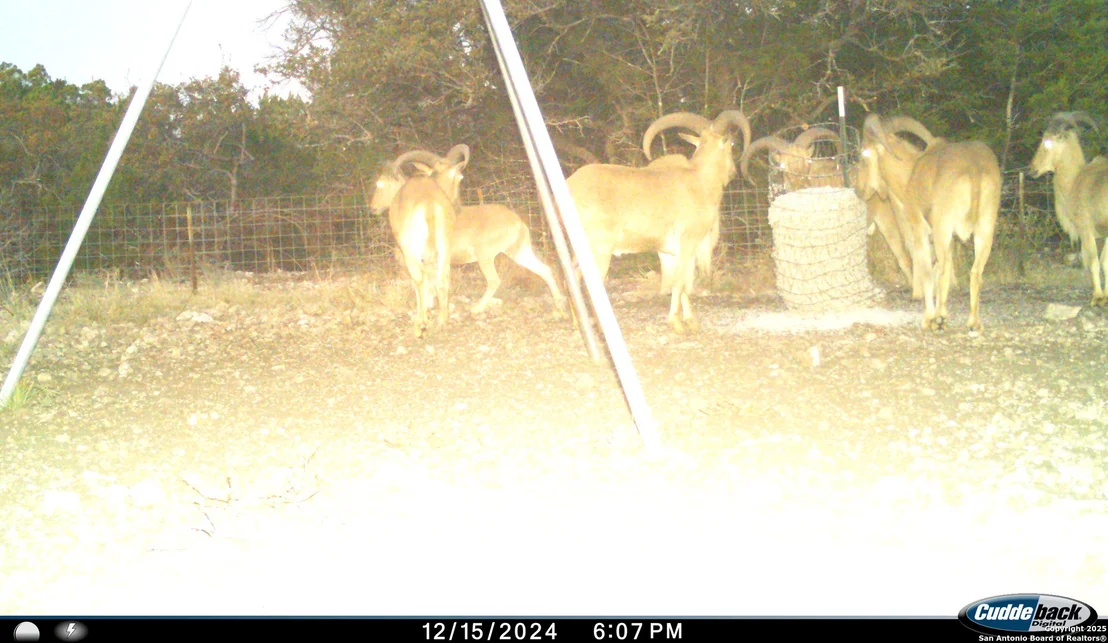Photo of TBD Mailtrail Rd