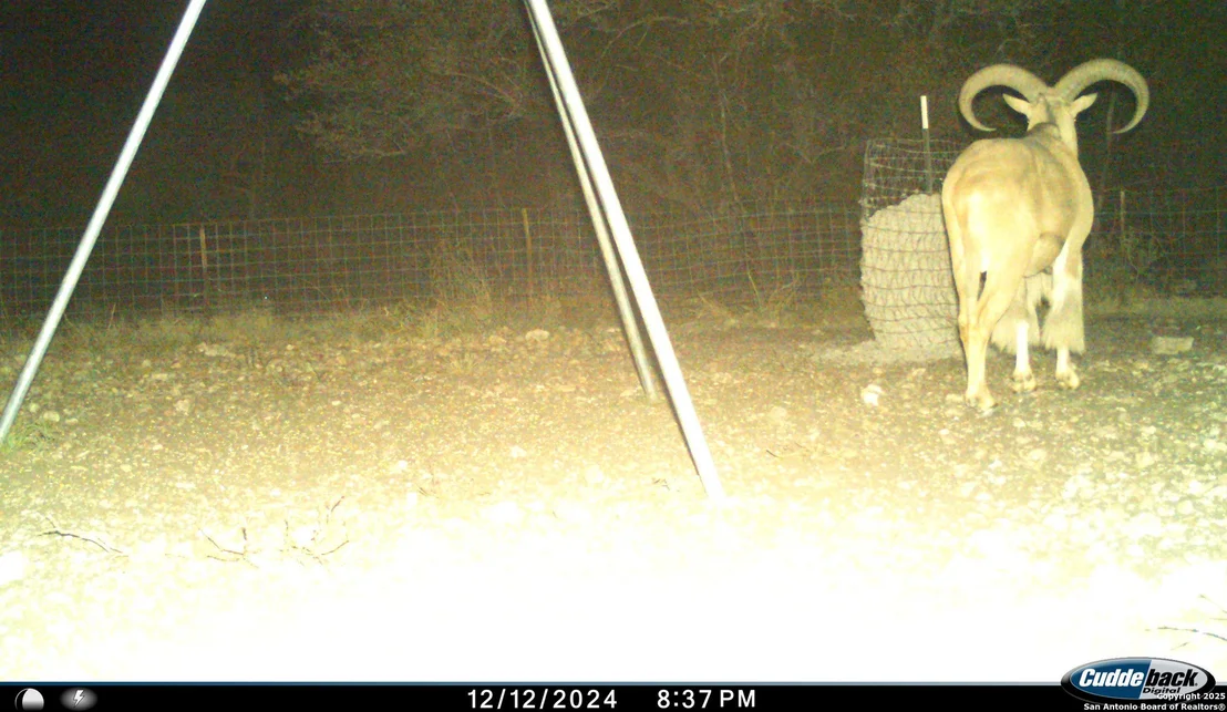 Photo of TBD Mailtrail Rd
