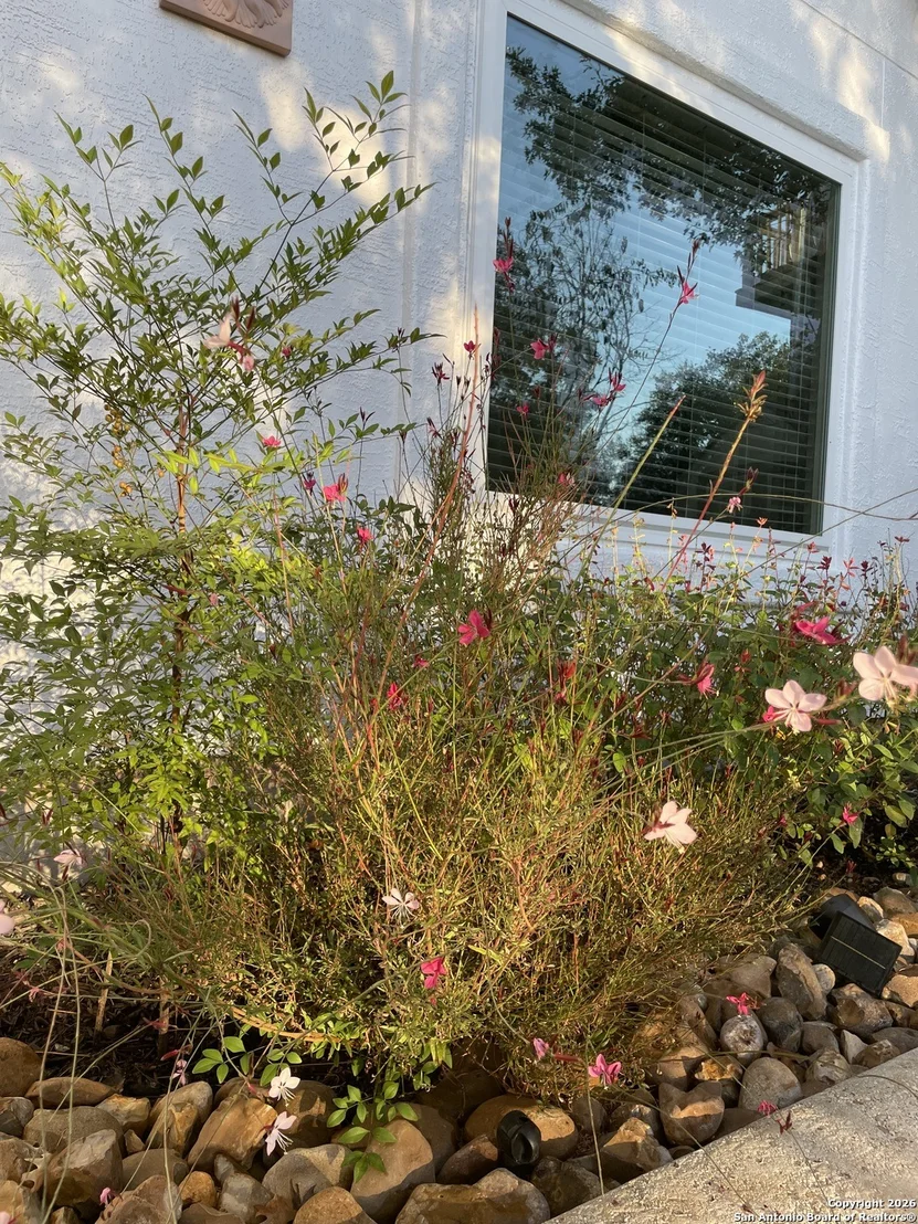 Photo of 29607 Terra Bella