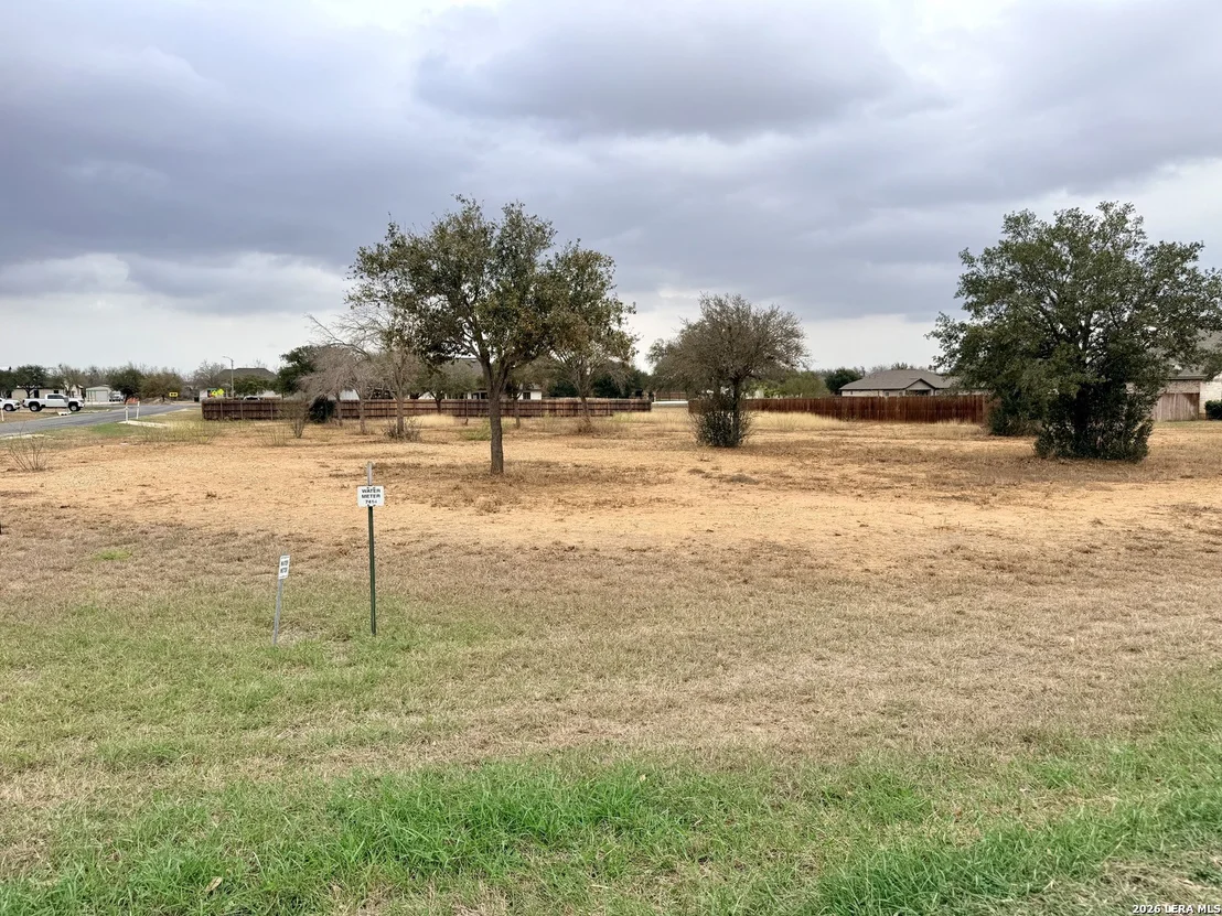 Photo of 160 W Medium Meadow