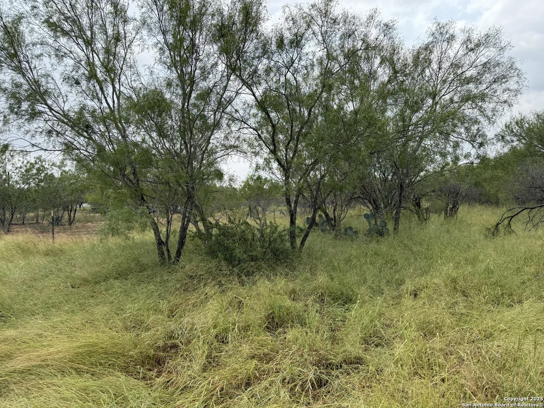 Photo of 131 County Road 2666
