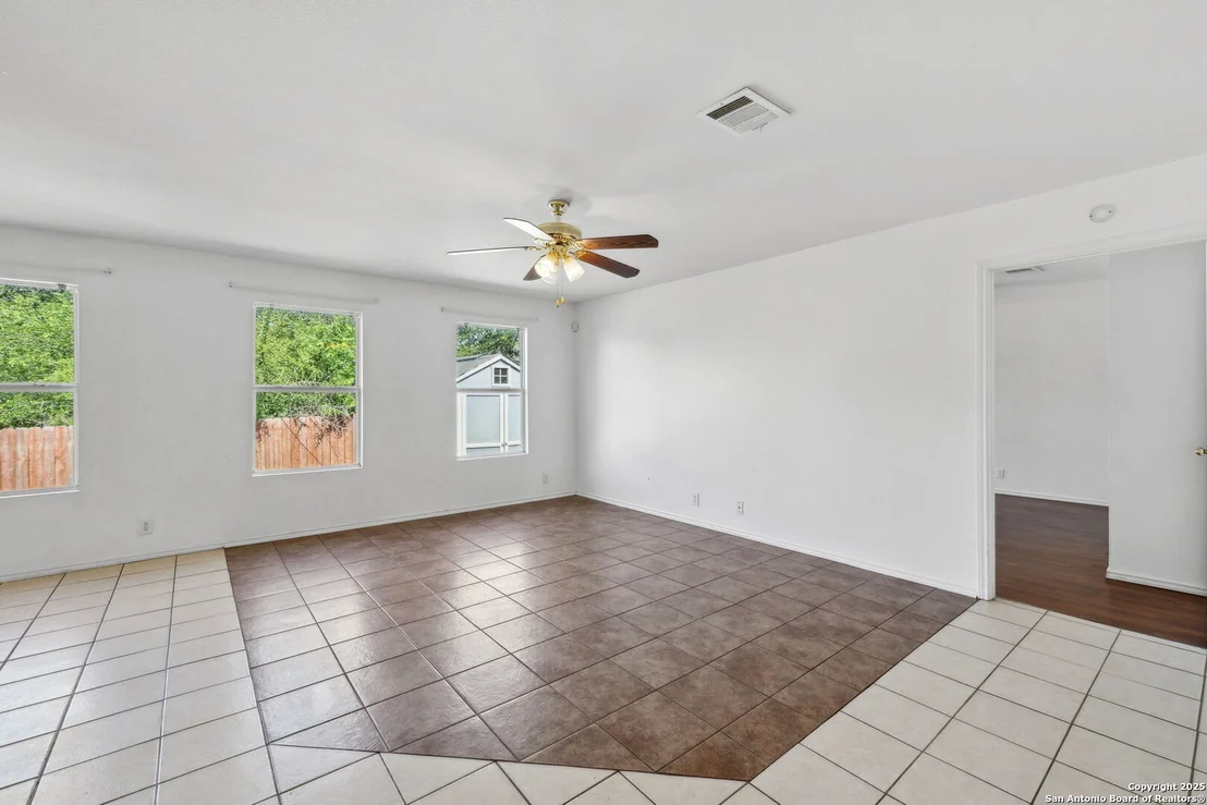 Photo of 284 Texas Mulberry