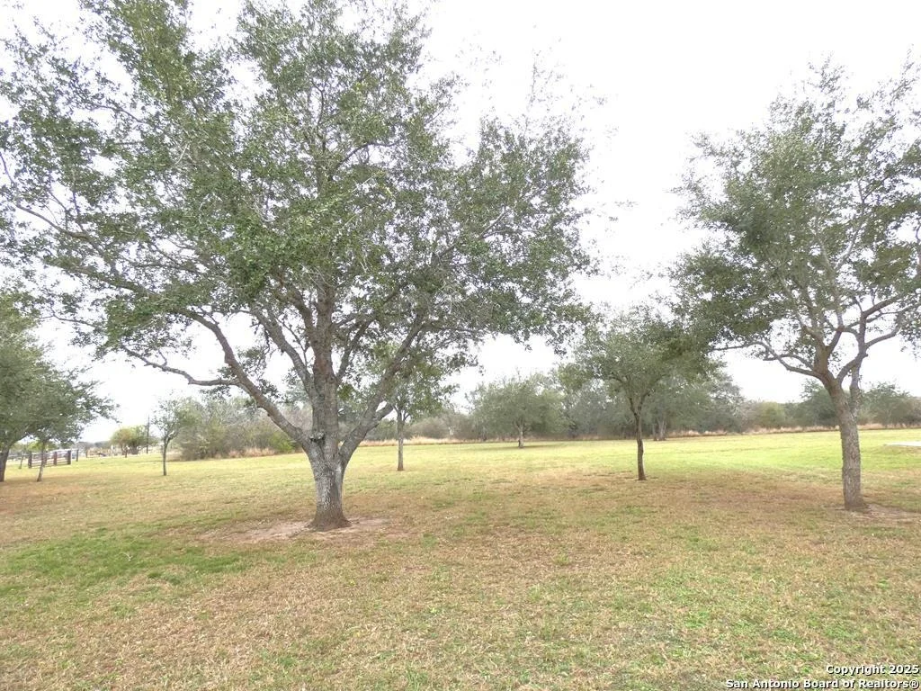 Photo of 283 Live Oak Rd