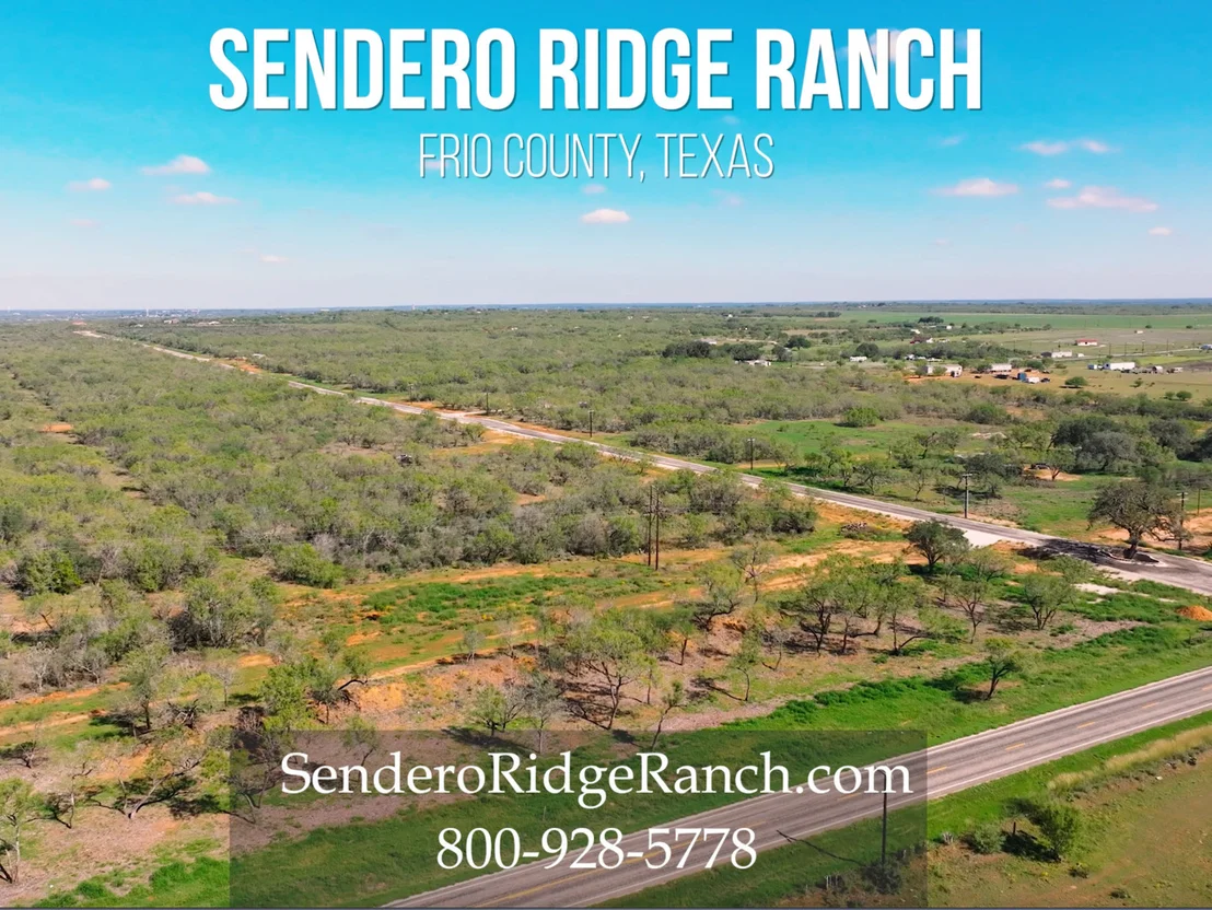 Photo of 131 Cr 2644