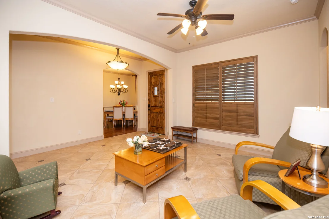 Photo of 25603 Santolina