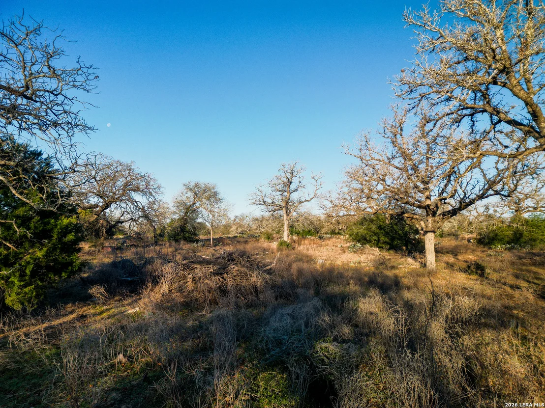 Photo of TBD Sandy Pine
