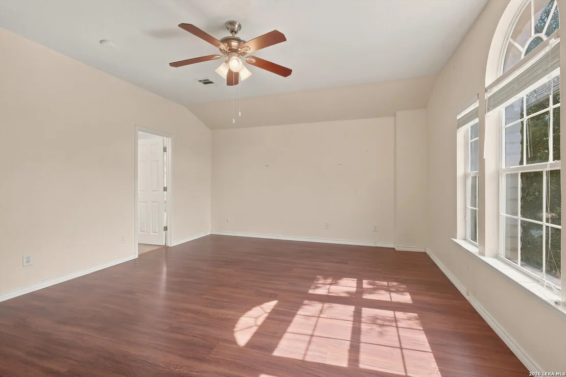 Photo of 802 Celosia