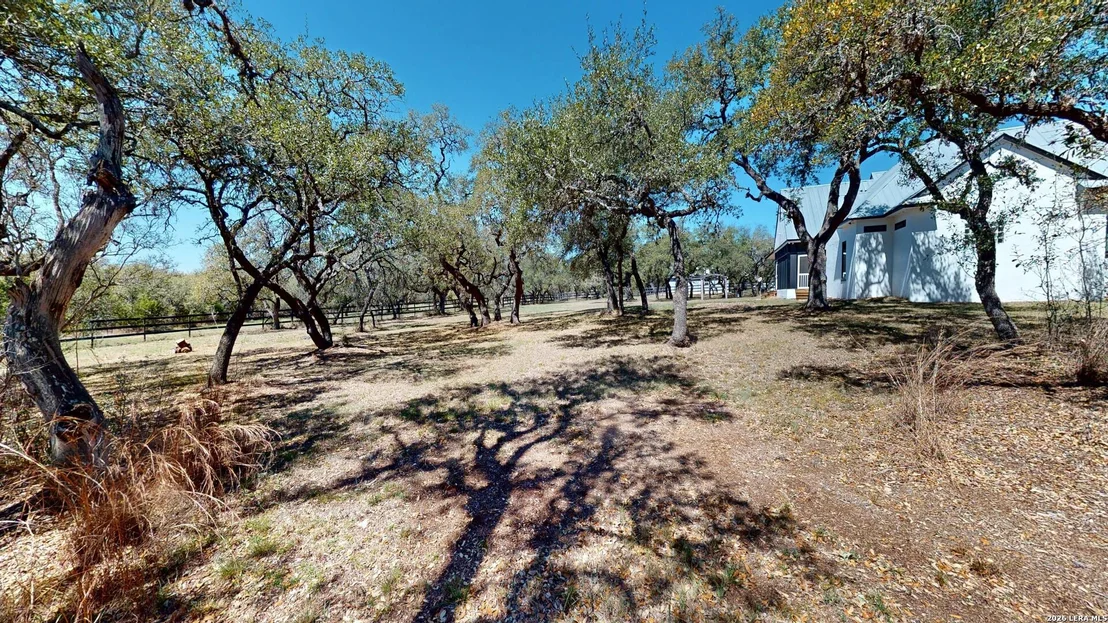 Photo of 795 Persimmon