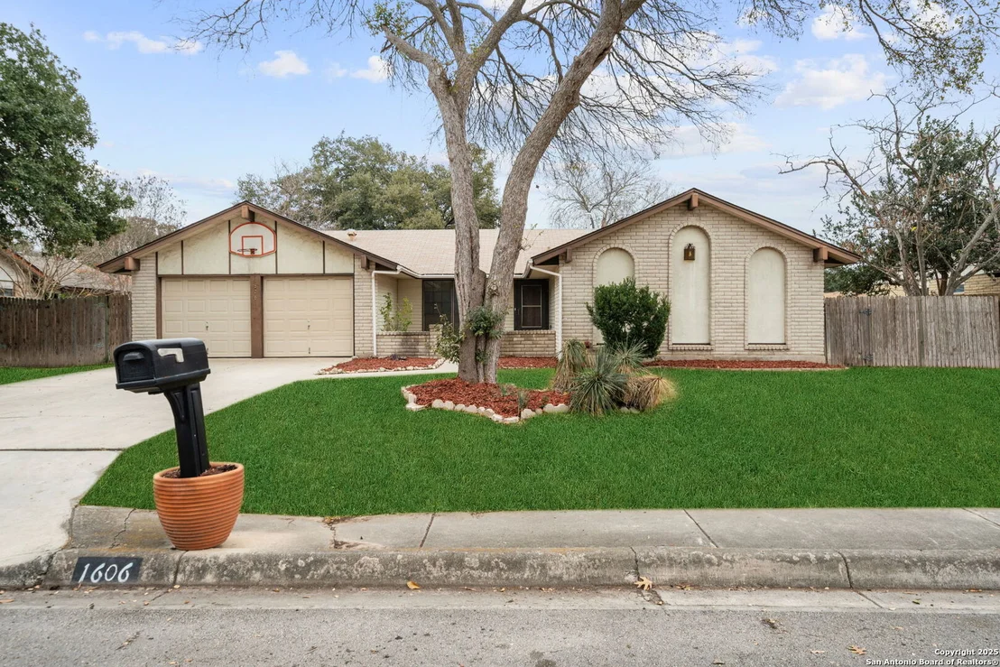 Photo of 1606 forest spring