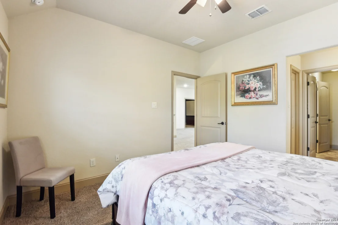 Photo of 25612 Santolina