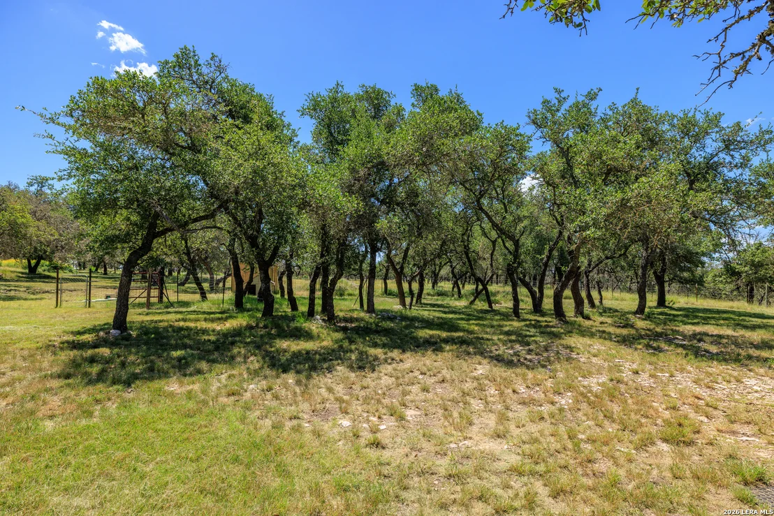 Photo of 429 Spanish Oak