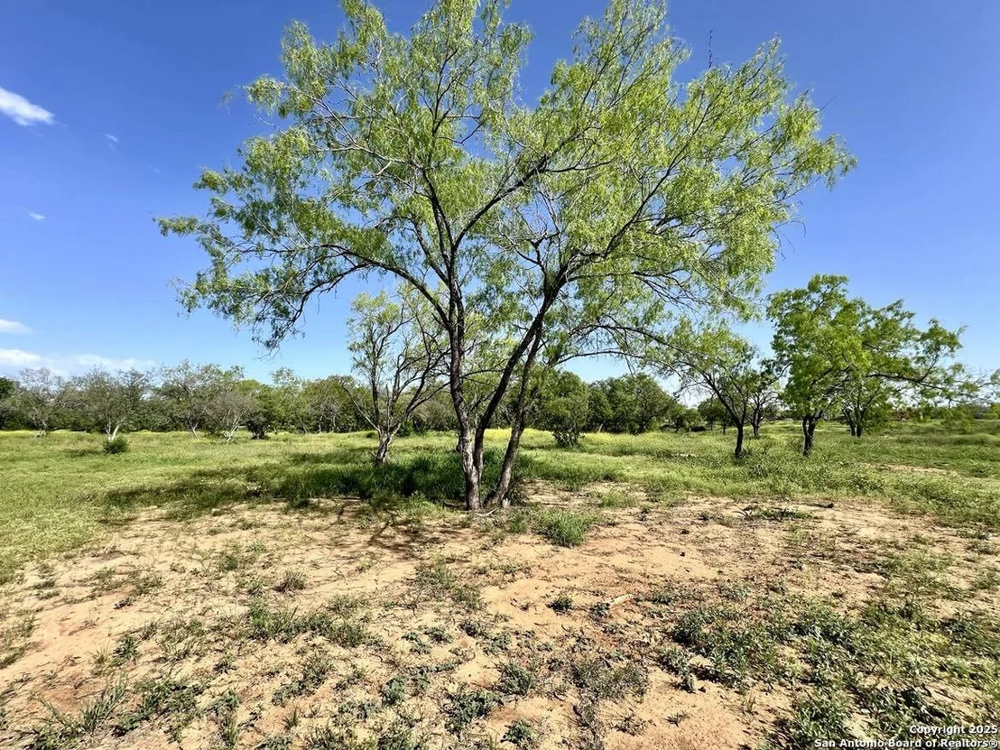 Photo of 188 Medium Meadow