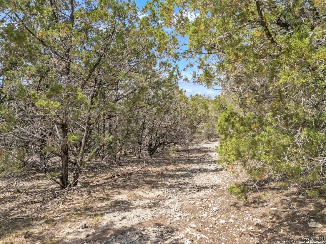 Photo of 000 Frio Canyon Loop