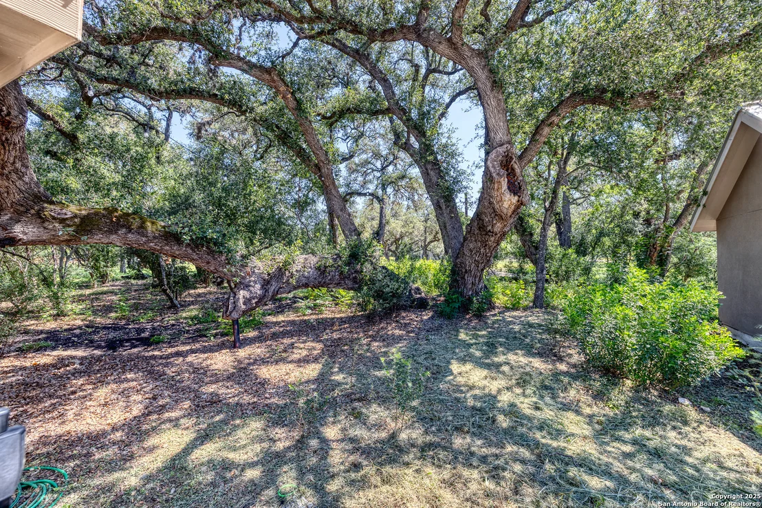 Photo of 350 Lantana
