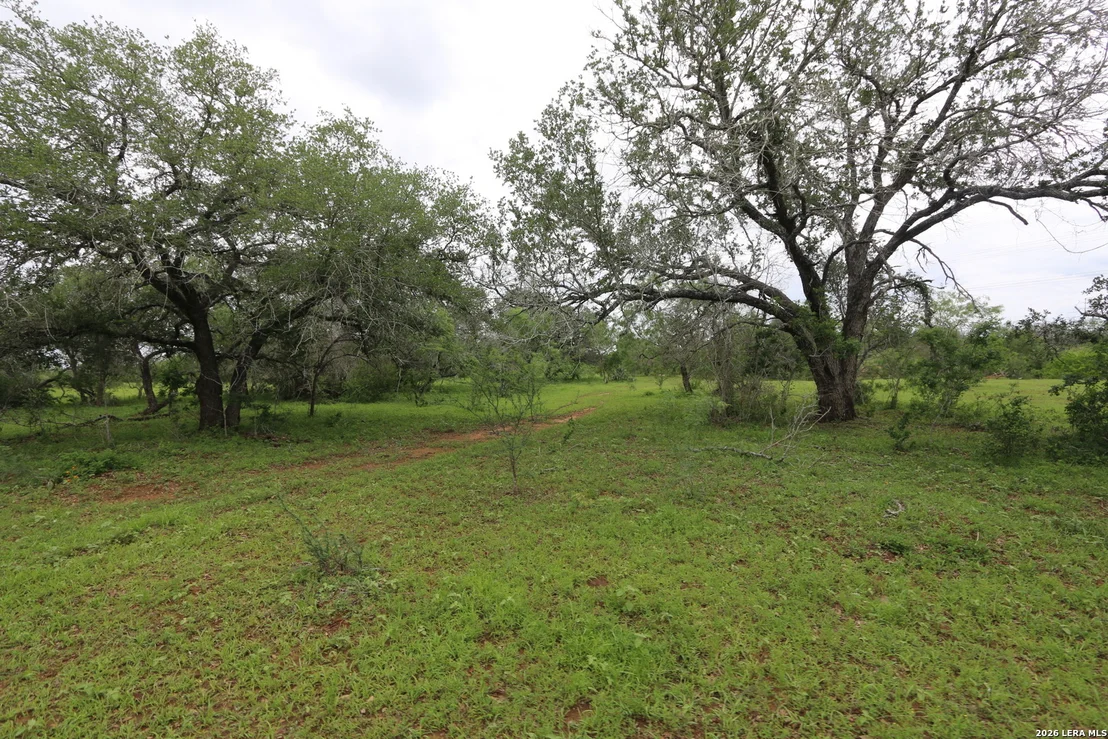 Photo of 2257 County Road 475