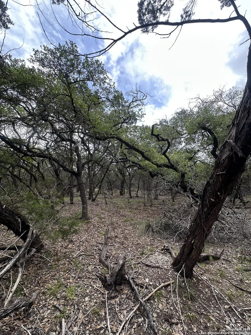 Photo of 000 Blanco Road
