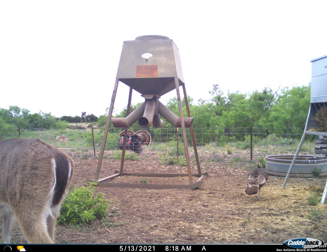 Photo of TBD Mailtrail Rd