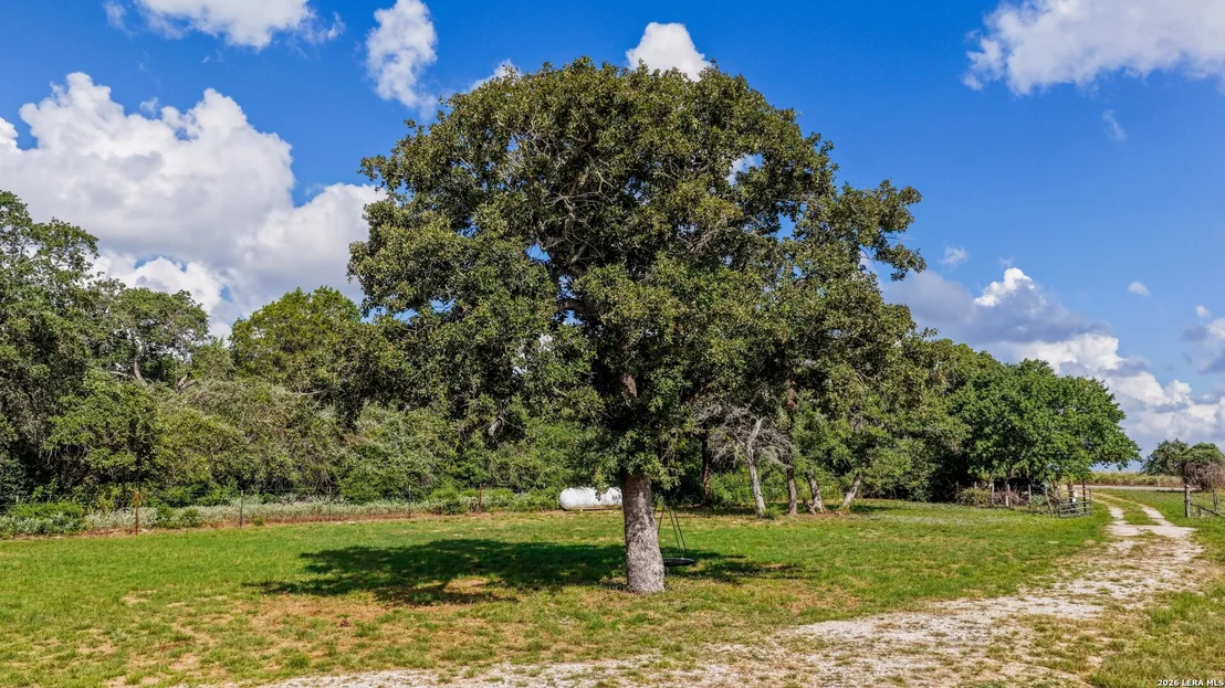 Photo of 163 County Road 283