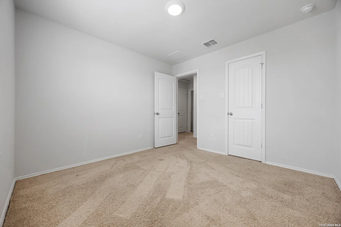 Photo of 824 Cinnamon Teal
