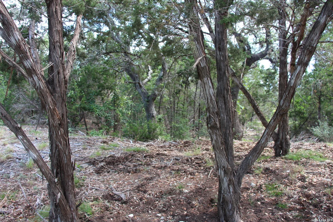 Photo of LOT 52 Clear Water Cyn