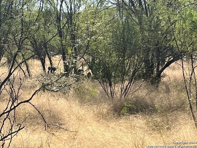 Photo of LOT 94 Pr 2320