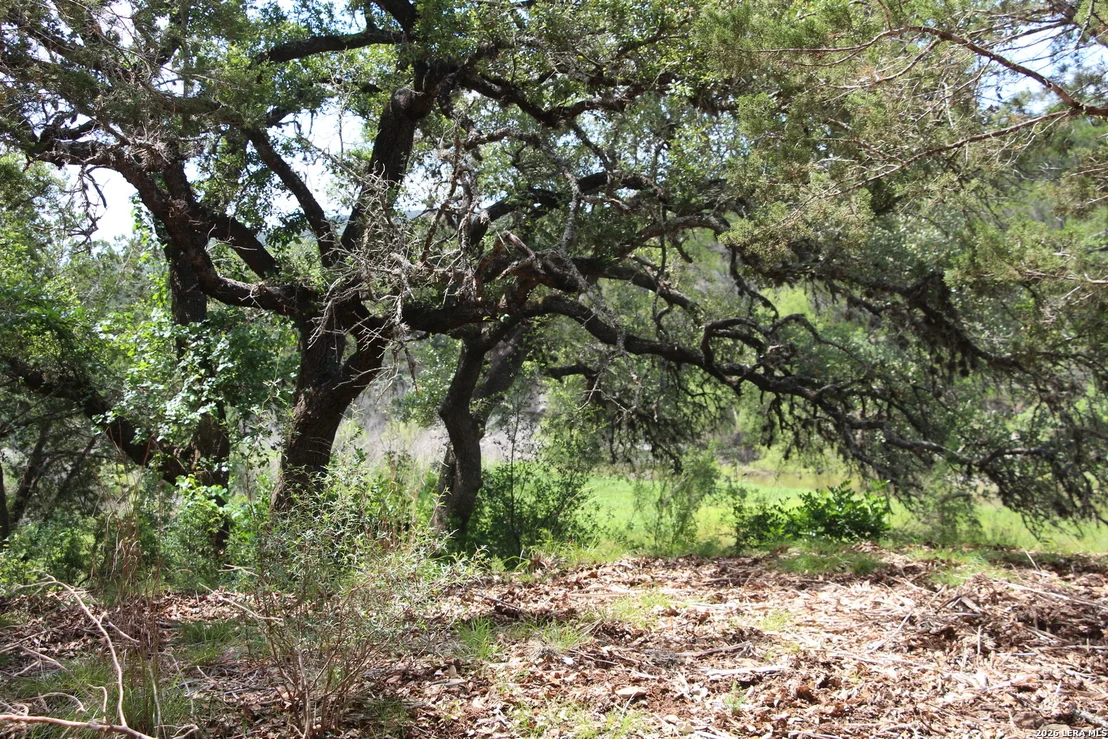 Photo of LOT 52 Clear Water Cyn