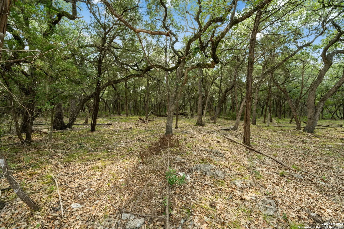 Photo of 1775 Lost TRL