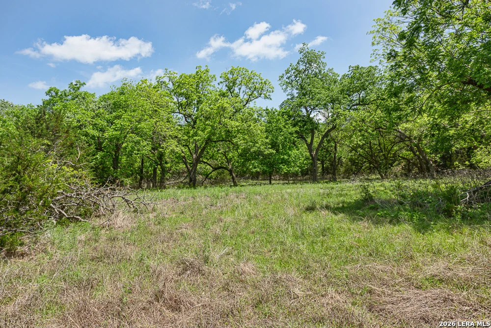 Photo of 127 EL NOPAL