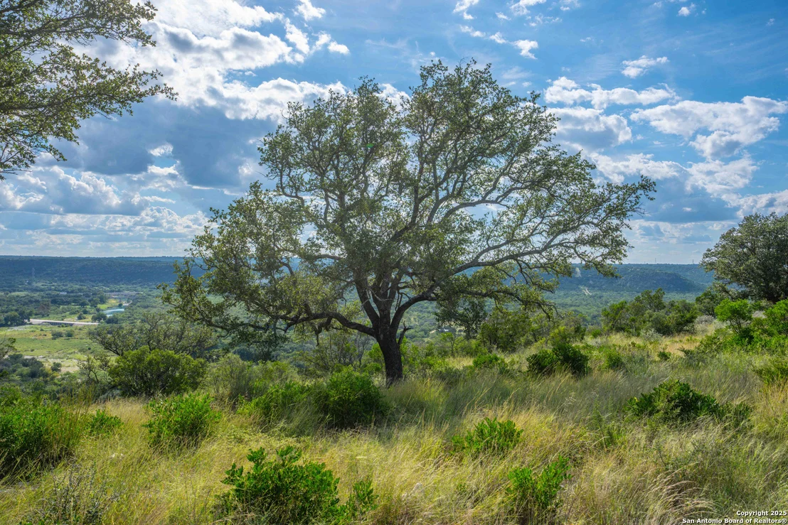 Photo of TBD FM 2169